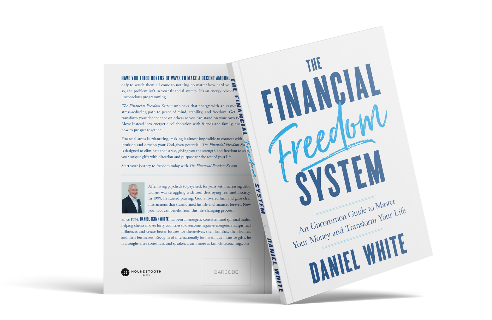 The Financial Freedom System book by Daniel White